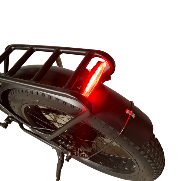 26" TRUE  1000W Electric E Bike Fat Tire Snow Mountain Bicycle Li-Battery