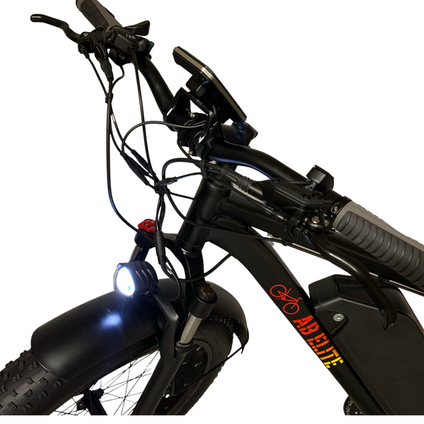 26" TRUE  1000W Electric E Bike Fat Tire Snow Mountain Bicycle Li-Battery